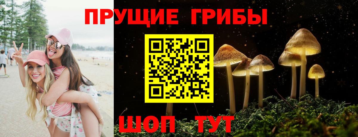 Камышлов  Псилоцибиновые грибы Psilocybe  Вход с VPN 