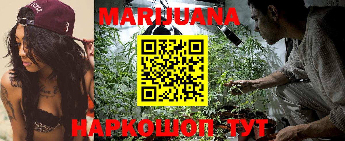 Бошки марихуана Bruce Banner  Конопля White Widow  МАРИХУАНА ГИДРОПОН  Марихуана ГИДРОПОН  Камышлов  Вход с VPN 